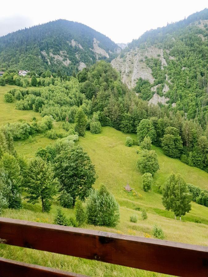 Mosorel Măgura Exteriér fotografie