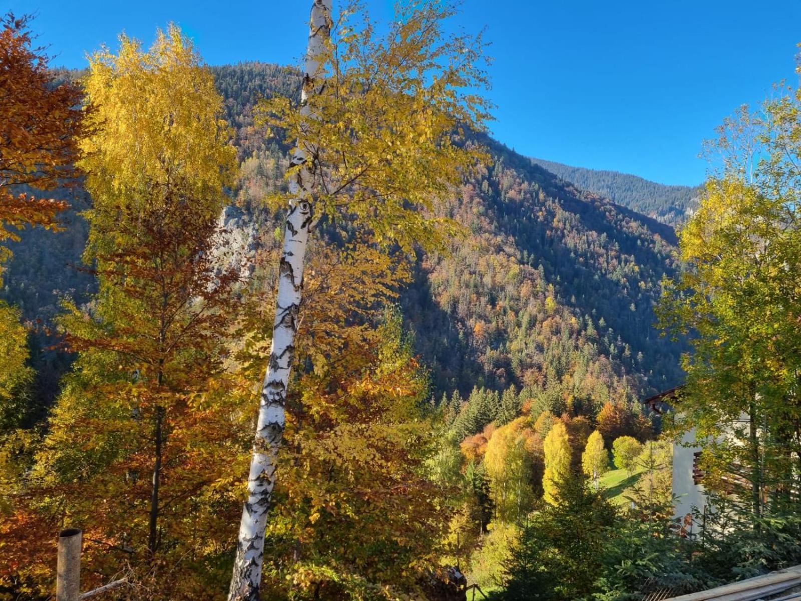Mosorel Măgura Exteriér fotografie