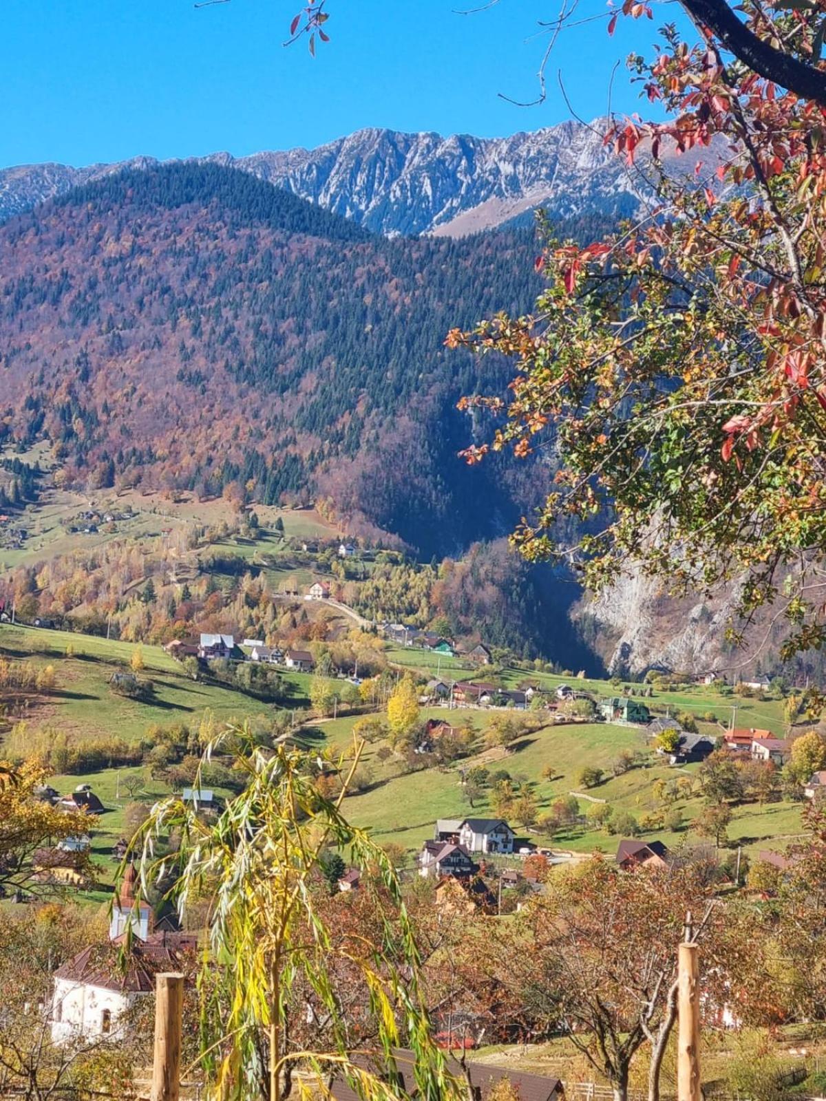 Mosorel Măgura Exteriér fotografie
