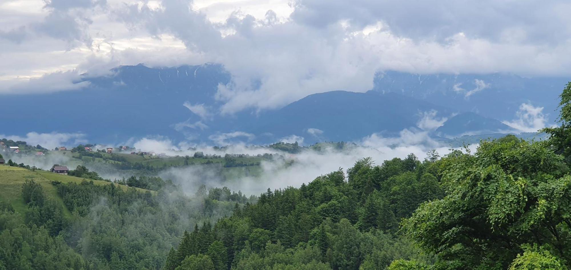 Mosorel Măgura Exteriér fotografie